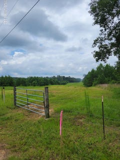 /international/us/highway-13-oak-vale-ms-110101505841/?lang=it