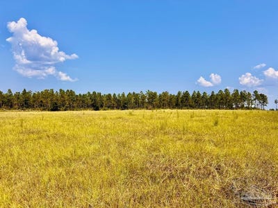 /international/us/morgans-branch-lot-26-molino-fl-110102660266/