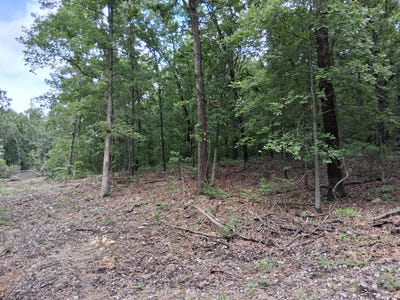 /international/us/tbd-county-road-350-dora-mo-110100303258/