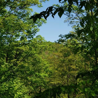 /international/us/beaver-meadow-road-roxbury-vt-110108493654/