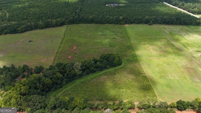 /international/us/0-carter-fish-pond-plains-ga-110101180695/?lang=zh-cn
