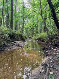 /international/us/skidder-way-lot-21-jasper-ga-110120713818/