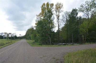 /international/us/tbd-130th-avenue-milaca-twp-mn-110107710854/