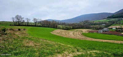 /international/us/parcel-162-crescent-hill-road-cogan-station-pa-110091487833/