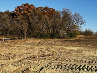 /international/us/lot-9-151st-avenue-se-becker-twp-mn-110103164164/