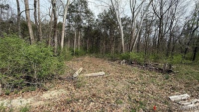 /international/us/209-highland-drive-dittmer-mo-110107489320/
