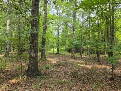 /international/us/yc-nichols-rd-lowndesboro-al-110107658453/
