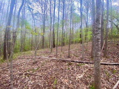 /international/us/rothwood-road-monroe-va-110105798458/