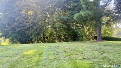 /international/us/335-s-main-street-west-hartford-ct-110110058049/