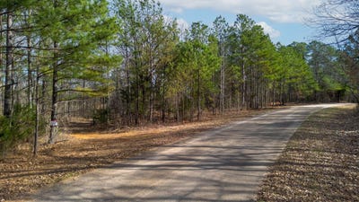 /international/us/tbd-olde-tennessee-trail-springville-tn-110105215085/