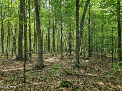 /international/us/rock-run-road-lot-61-equinunk-pa-110106070961/