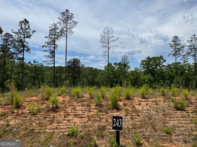 /international/us/spear-point-drive-lot-243-talking-rock-ga-110108174282/