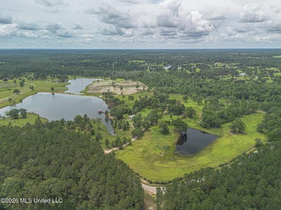 /international/us/206-redfish-road-poplarville-ms-110108739289/