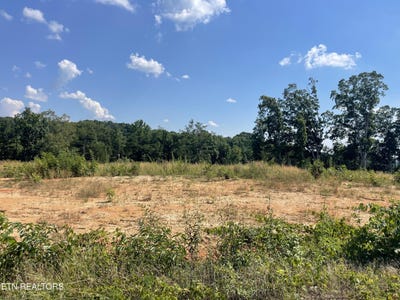 /international/us/lot-20-laura-boling-loop-rd-strawberry-plains-tn-110100719522/?lang=zh-cn