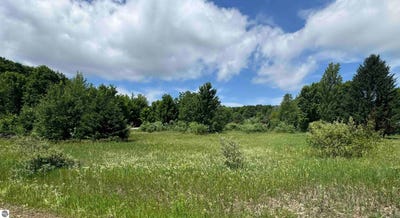 /international/us/lots-32-s-ski-view-circle-cedar-mi-110101099389/?lang=zh-tw