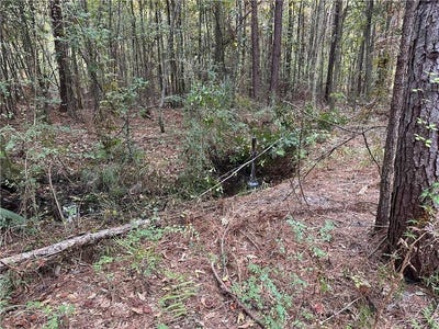 /international/us/cow-lane-ponchatoula-la-110102940297/