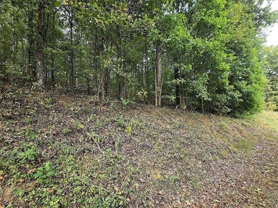 /international/us/big-oak-tree-road-adairsville-ga-110120106827/