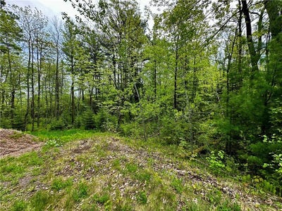 /international/us/15433-state-highway-178-jim-falls-wi-110092079176/?lang=zh-cn