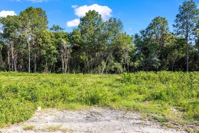 /international/us/000-walker-avenue-se-new-ellenton-sc-110101399765/