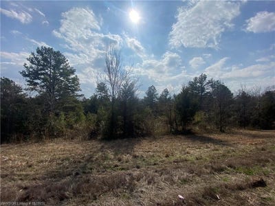 /international/us/tbd-west-hwy-22-tract-1-lot-1-branch-ar-110097229432/