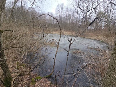 /international/us/0wp-bowbell-rd-coventry-ny-110107277447/