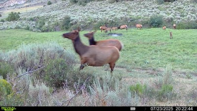 /international/us/tbd-highway-13-meeker-co-110101238491/