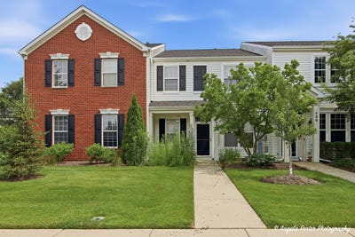 /international/us/487-s-litchfield-drive-round-lake-il-110109320310/