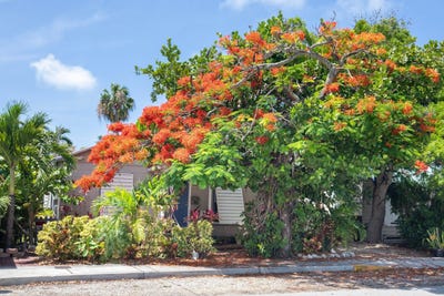 /international/us/3712-duck-avenue-key-west-fl-110109195425/