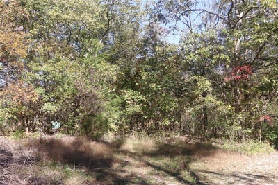 /international/us/9468-bent-tree-drive-hillsboro-mo-110095411374/?lang=en