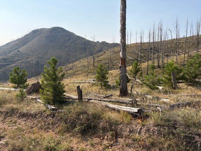 /international/us/pine-acres-rd-bellvue-co-110109727840/