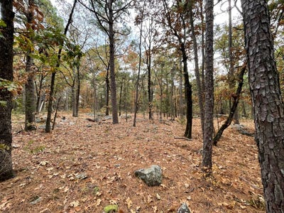 /international/us/unit-156-horsehead-mountain-road-moyers-ok-110100724464/