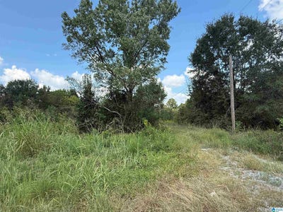 /international/us/5889-highway-278-lot-1-cullman-al-110110209167/