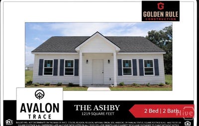 /international/us/119-avalon-trace-lot-10-statesboro-ga-110106148039/