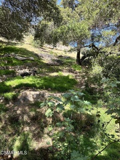 /international/us/rudolph-drive-drive-thousand-oaks-ca-110100427462/?lang=es