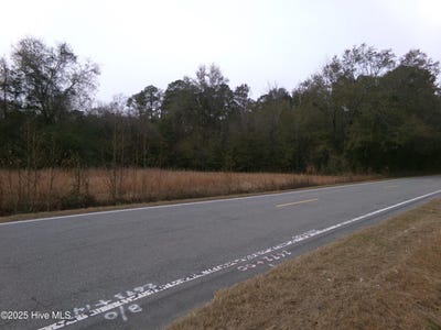 /international/us/ivanhoe-road-lot-1-harrells-nc-110104413354/