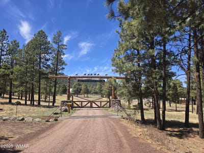 /international/us/20-n1332-greer-az-110098760029/