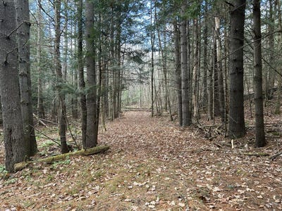 /international/us/stream-view-drive-skowhegan-me-110107401097/