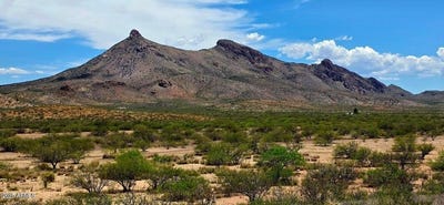 /international/us/38-76-acre-n-bruno-road-douglas-az-110101481191/?lang=zh-cn