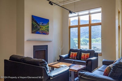 /international/us/231-robinson-street-330-basalt-co-110091345632/