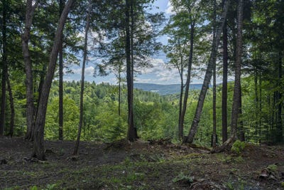 /international/us/tbd-arbor-lane-duxbury-vt-110101150833/?lang=zh-cn