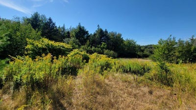 /international/us/lot-23-bay-road-jonesboro-me-110101915875/