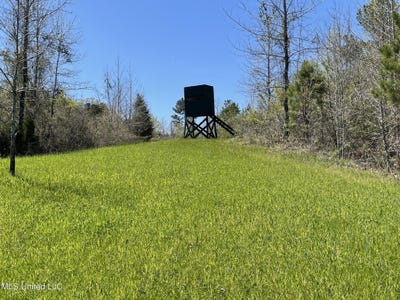 /international/us/county-road-3222-ethel-ms-110091515294/