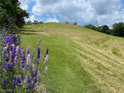 /international/us/cain-ridge-road-clarington-oh-110100799948/