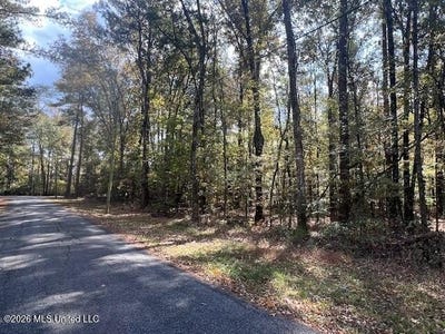 /international/us/pelahatchie-road-pelahatchie-ms-110106921836/