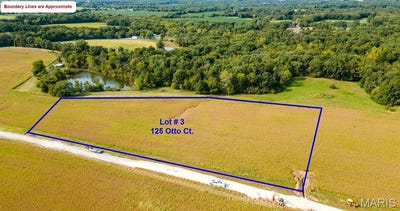 /international/us/125-otto-court-silex-mo-110107263078/
