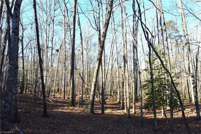 /international/us/1010-1372-hanging-rock-park-road-danbury-nc-110107785835/