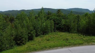 /international/us/20-appletree-lane-richmond-vt-110108583333/