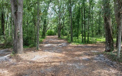 /international/us/96th-place-live-oak-fl-110100813656/