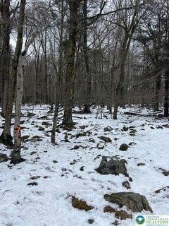 /international/us/cobblewood-road-wayne-pa-110098848010/