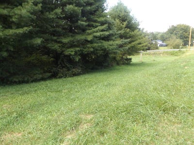 /international/us/sylvatus-hwy-lot-1-hillsville-va-110119920606/